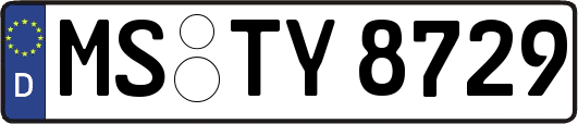 MS-TY8729