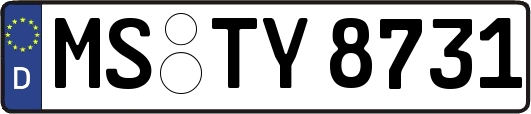 MS-TY8731