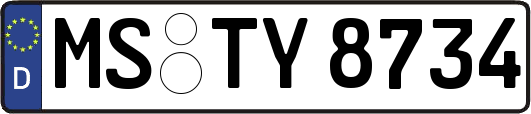 MS-TY8734
