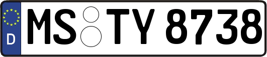 MS-TY8738