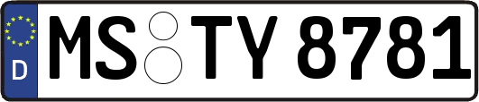 MS-TY8781