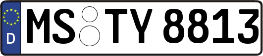 MS-TY8813