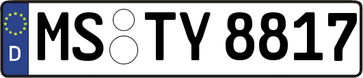 MS-TY8817