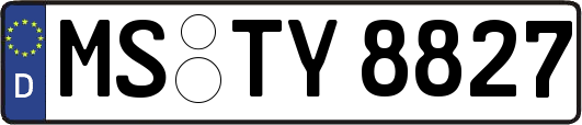 MS-TY8827