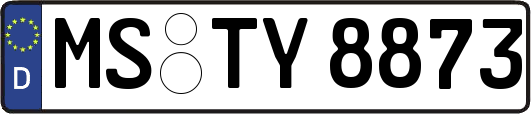 MS-TY8873