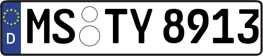 MS-TY8913
