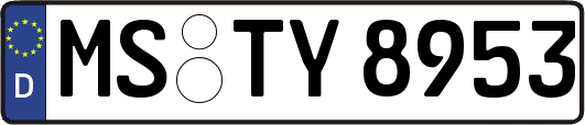 MS-TY8953