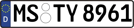 MS-TY8961