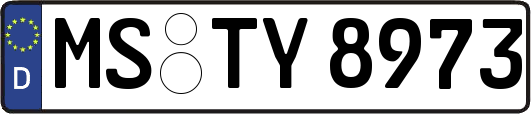 MS-TY8973