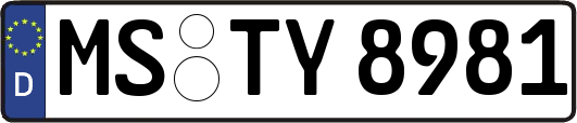 MS-TY8981