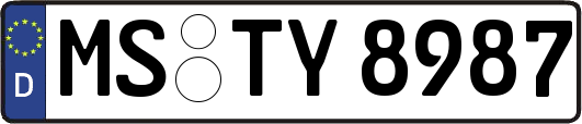 MS-TY8987