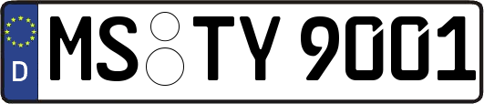 MS-TY9001