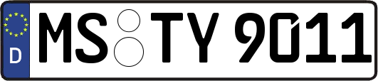 MS-TY9011