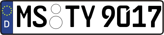 MS-TY9017
