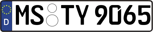 MS-TY9065