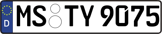MS-TY9075