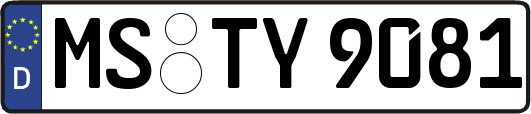 MS-TY9081