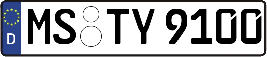 MS-TY9100