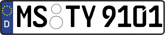 MS-TY9101