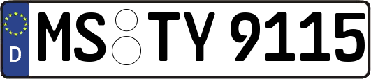 MS-TY9115