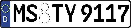 MS-TY9117
