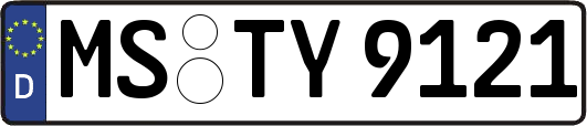 MS-TY9121