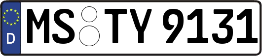 MS-TY9131