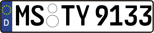 MS-TY9133