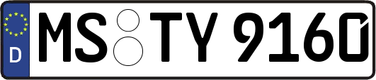 MS-TY9160