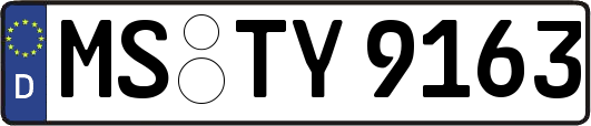 MS-TY9163