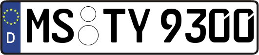 MS-TY9300
