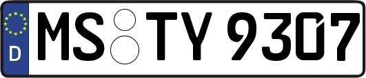 MS-TY9307
