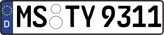 MS-TY9311