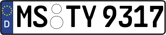 MS-TY9317