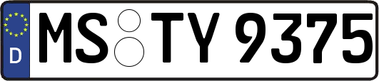 MS-TY9375