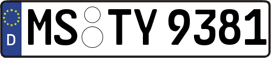 MS-TY9381