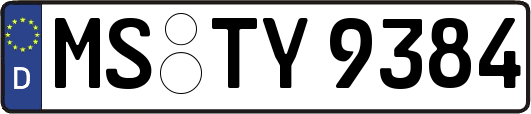 MS-TY9384