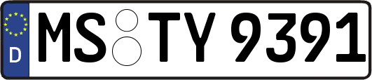 MS-TY9391