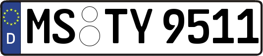 MS-TY9511