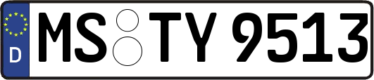 MS-TY9513
