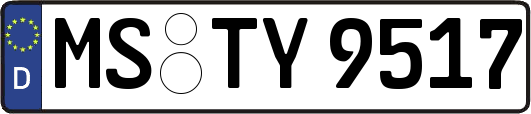 MS-TY9517