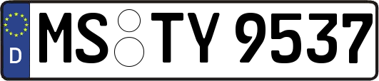 MS-TY9537
