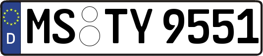 MS-TY9551