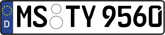 MS-TY9560