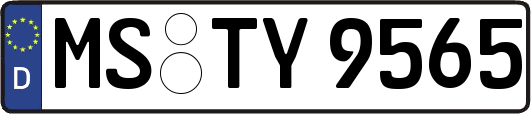 MS-TY9565