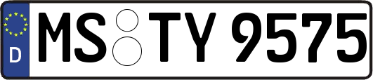 MS-TY9575
