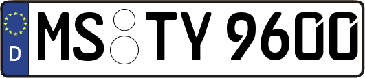 MS-TY9600