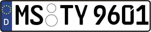 MS-TY9601