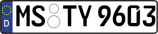 MS-TY9603