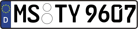 MS-TY9607